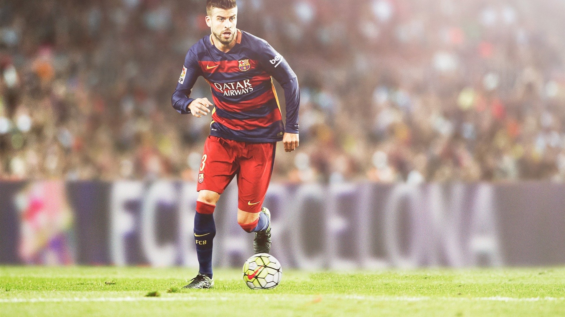 _南极冰原跑：在极地白雪中追逐梦想_，南极冰原阅读答案